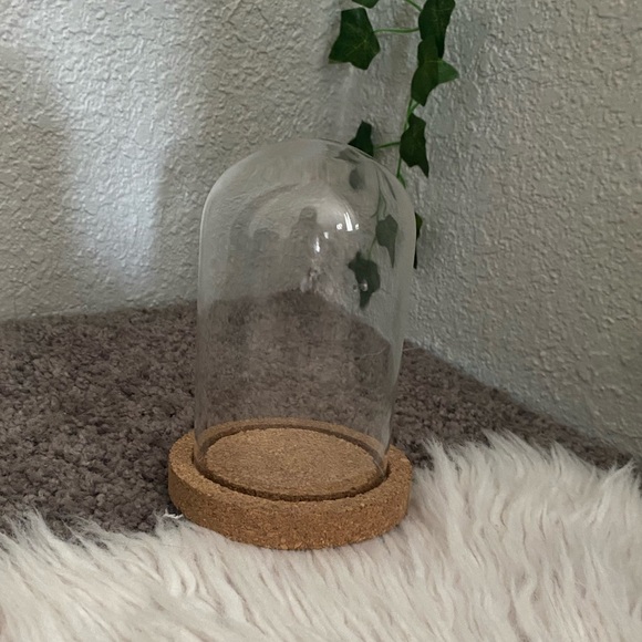 Glass Display Dome - Picture 2 of 2